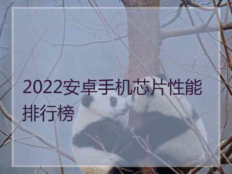 2022安卓手机芯片性能排行榜