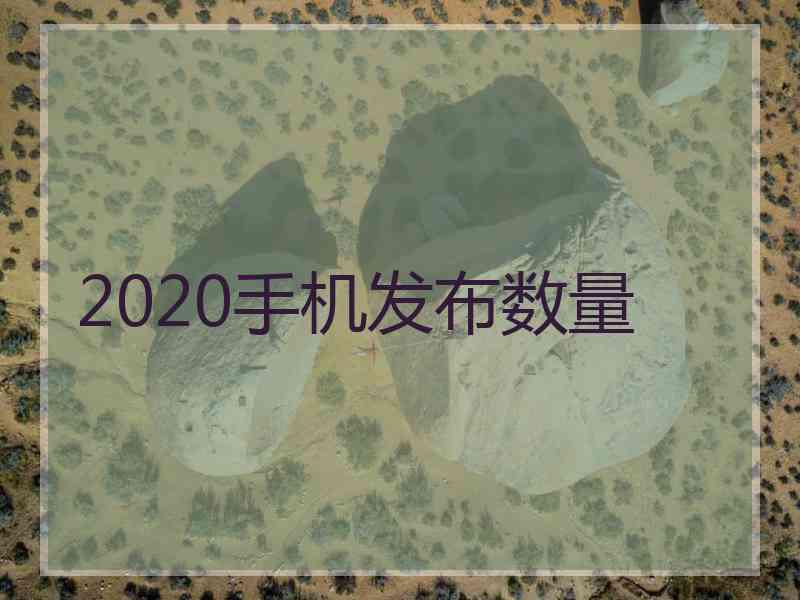 2020手机发布数量