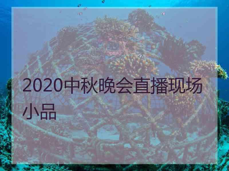 2020中秋晚会直播现场小品