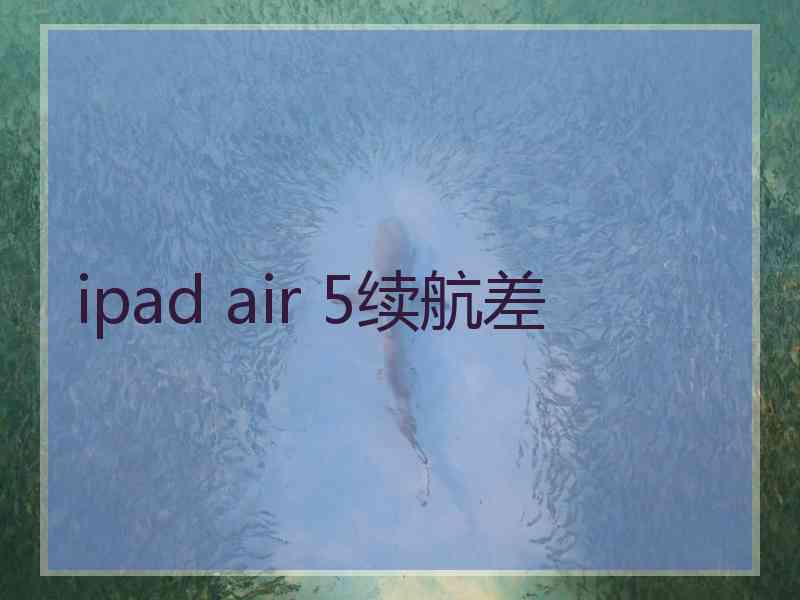 ipad air 5续航差