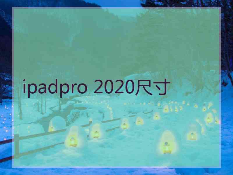 ipadpro 2020尺寸