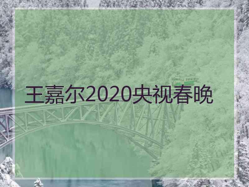 王嘉尔2020央视春晚