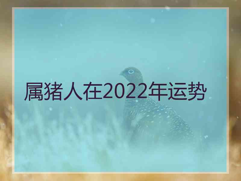 属猪人在2022年运势