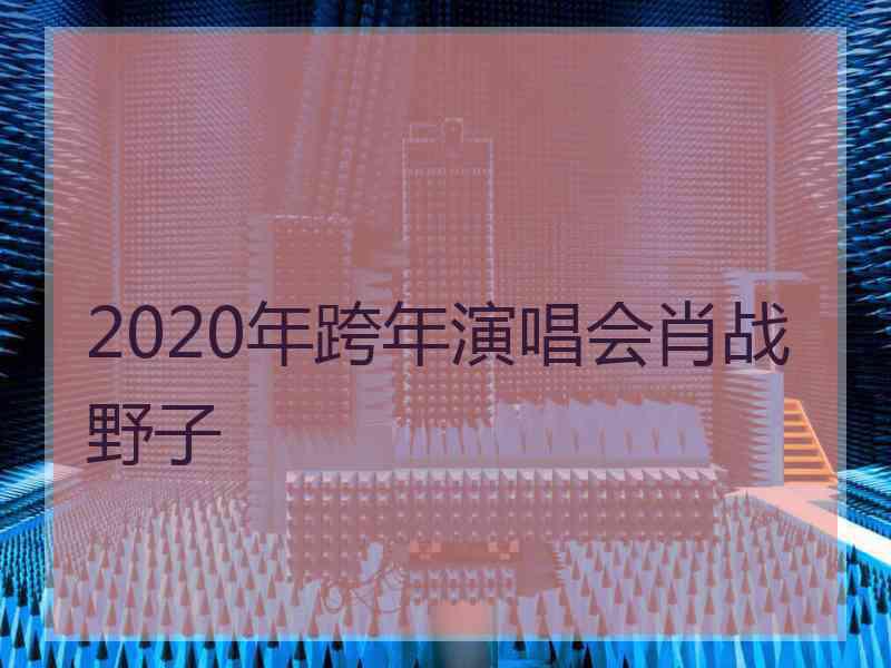 2020年跨年演唱会肖战野子