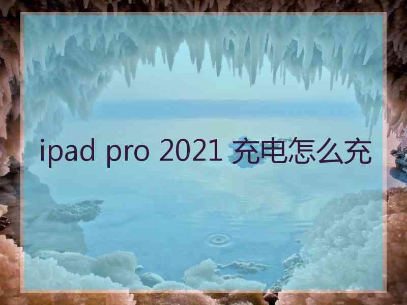 ipad pro 2021 充电怎么充