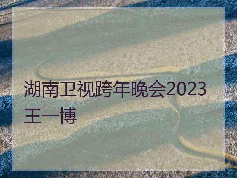 湖南卫视跨年晚会2023王一博