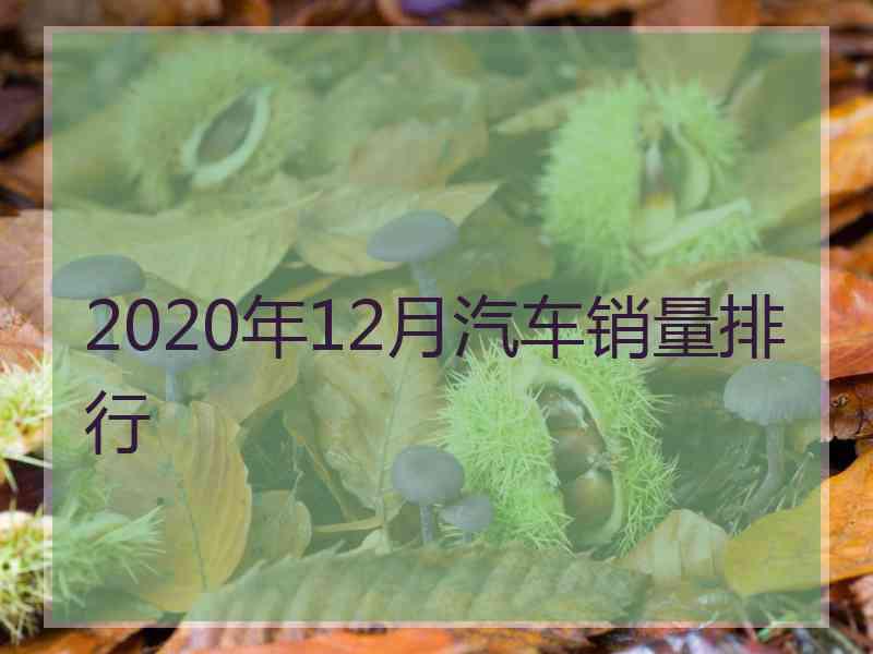 2020年12月汽车销量排行