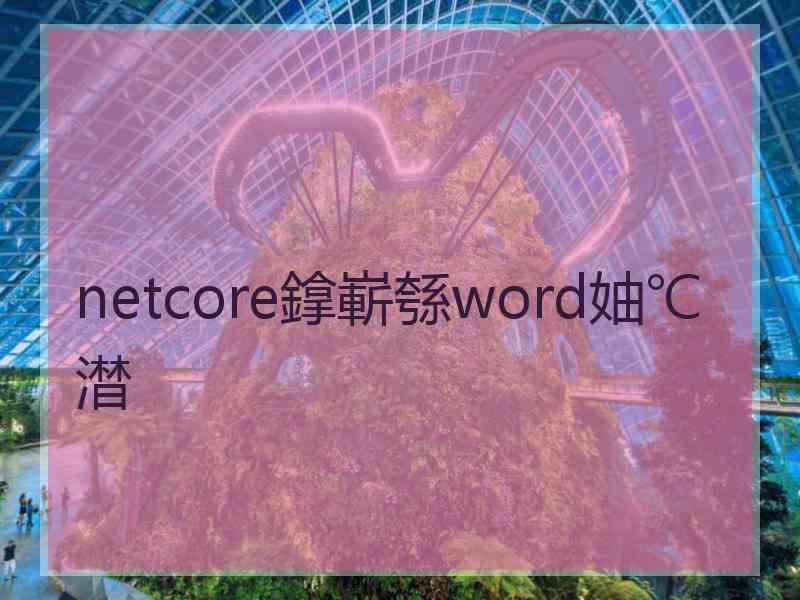 netcore鎿嶄綔word妯℃澘