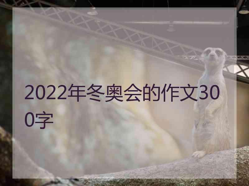 2022年冬奥会的作文300字