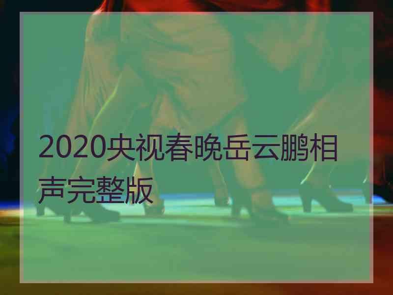 2020央视春晚岳云鹏相声完整版