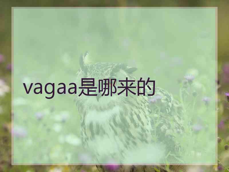 vagaa是哪来的