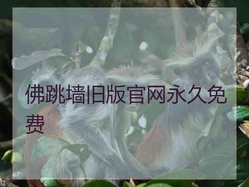 佛跳墙旧版官网永久免费