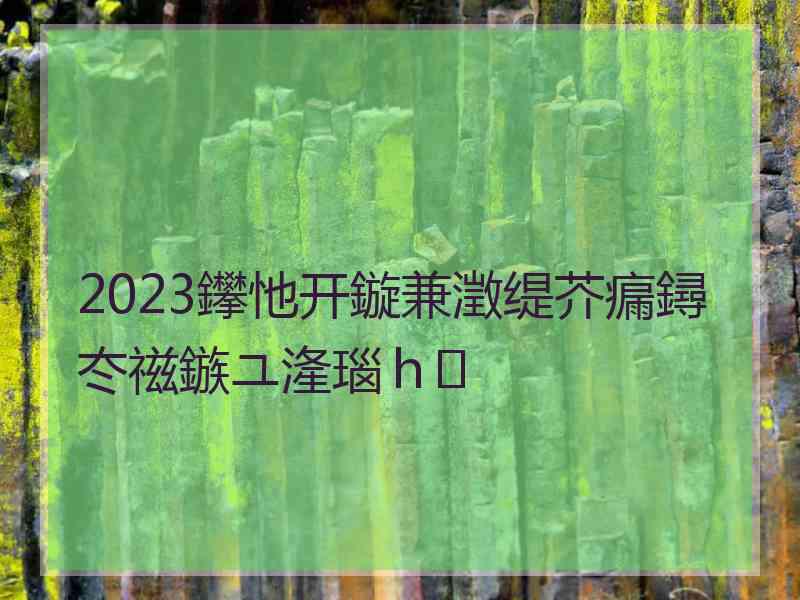 2023鑻忚开鏇兼澂缇芥瘺鐞冭禌鏃ユ湰瑙ｈ