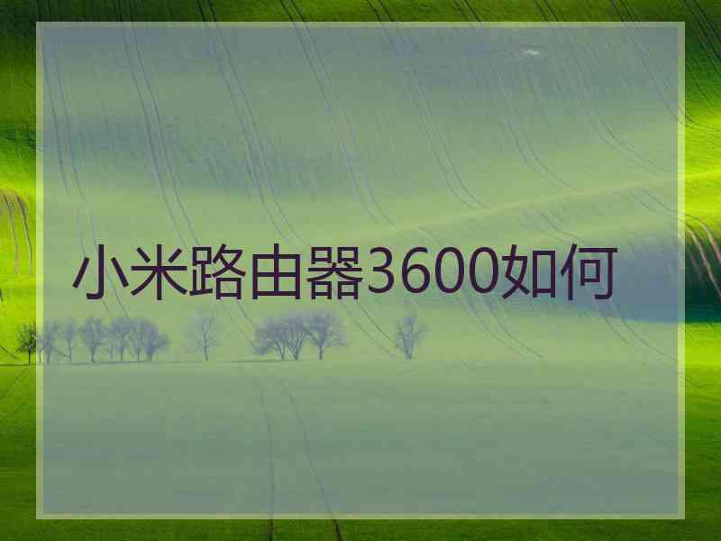 小米路由器3600如何