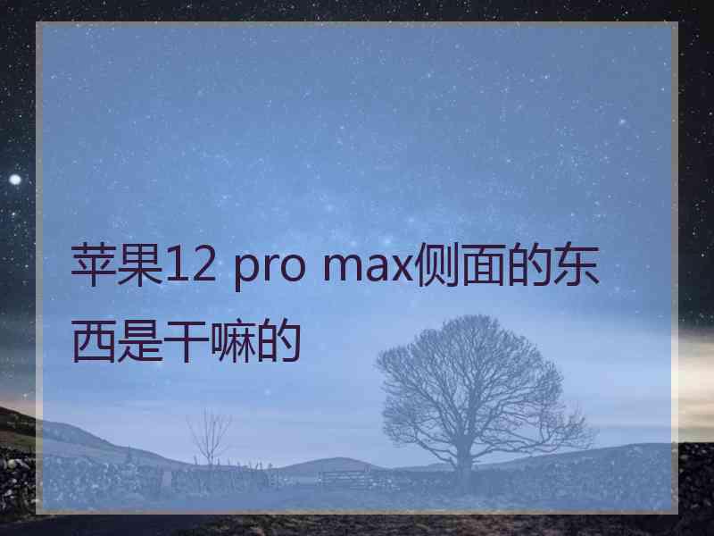 苹果12 pro max侧面的东西是干嘛的