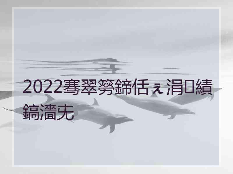 2022骞翠簩鍗佸ぇ涓績鎬濇兂