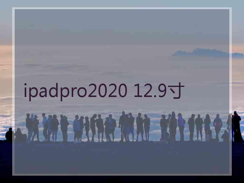 ipadpro2020 12.9寸