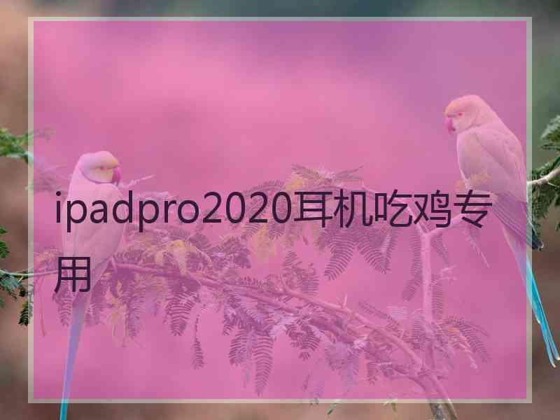 ipadpro2020耳机吃鸡专用