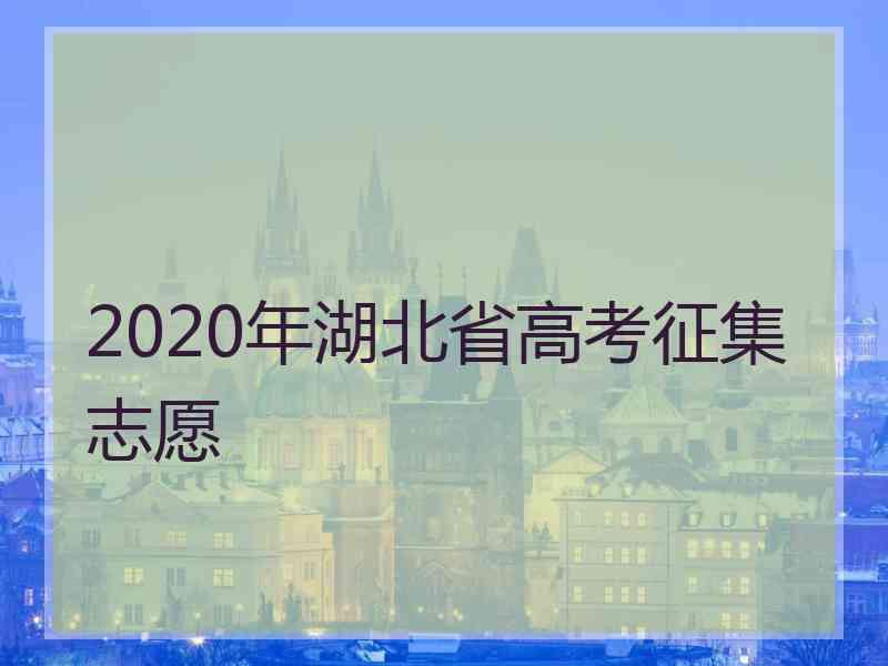 2020年湖北省高考征集志愿