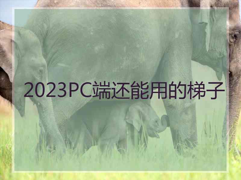 2023PC端还能用的梯子