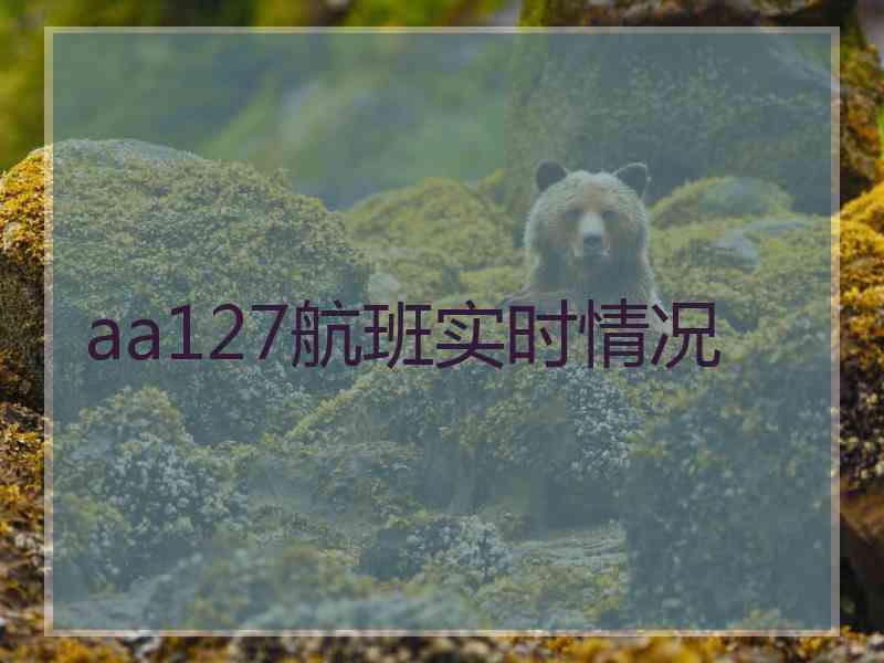 aa127航班实时情况