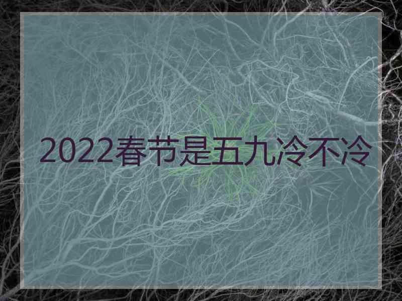 2022春节是五九冷不冷