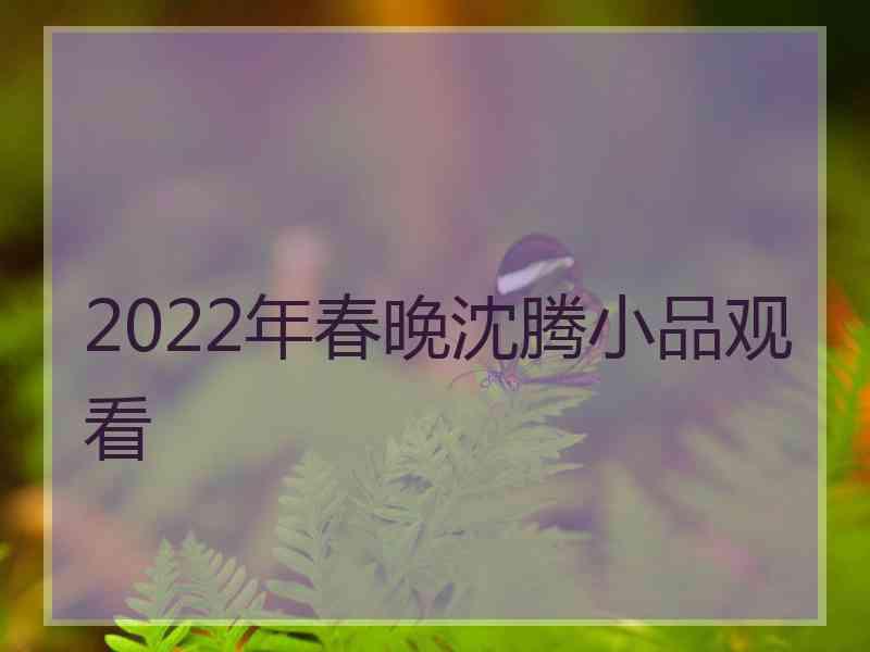 2022年春晚沈腾小品观看