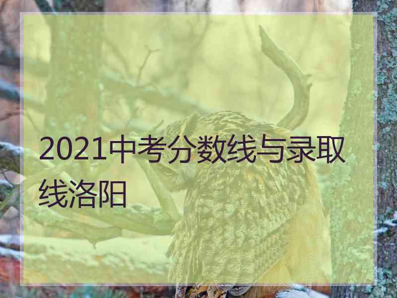 2021中考分数线与录取线洛阳