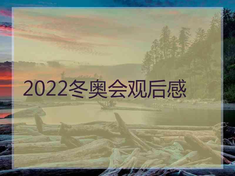 2022冬奥会观后感