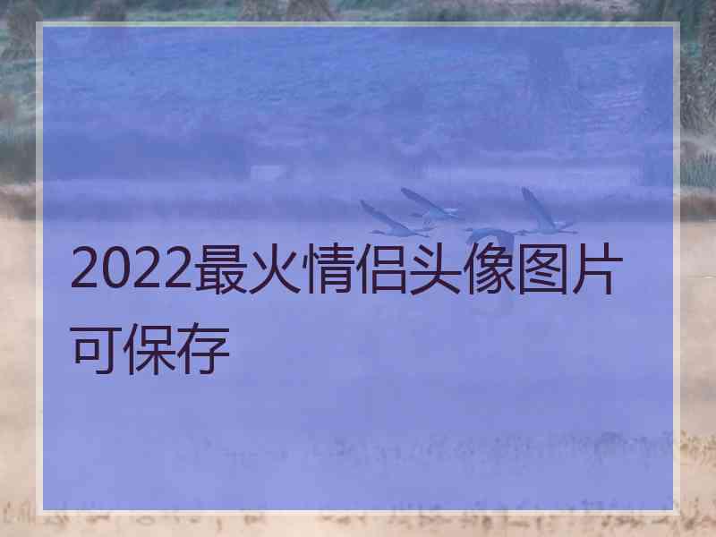 2022最火情侣头像图片可保存