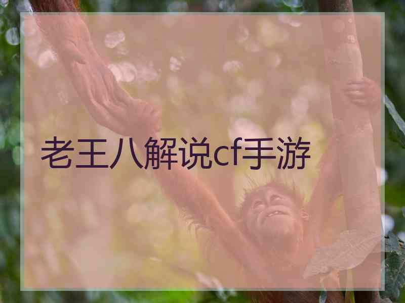 老王八解说cf手游