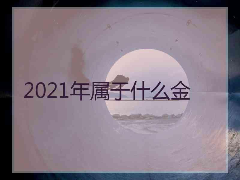 2021年属于什么金