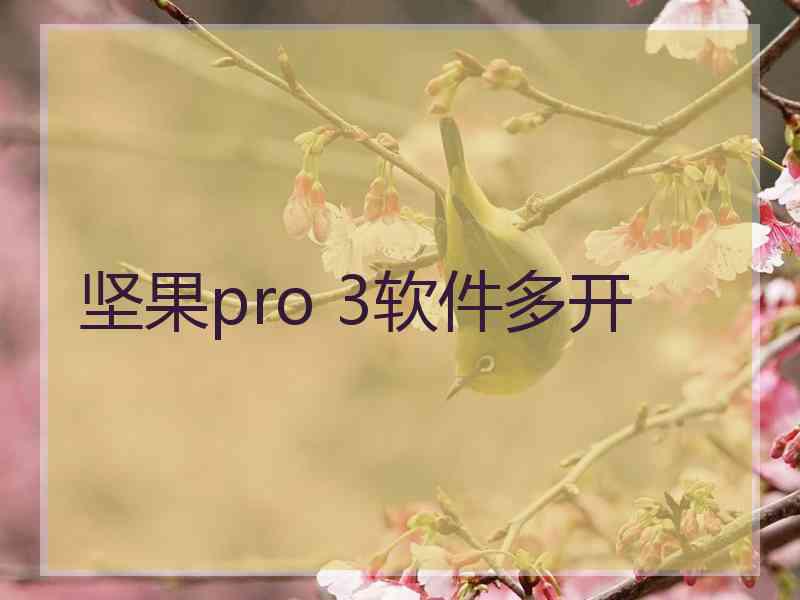 坚果pro 3软件多开