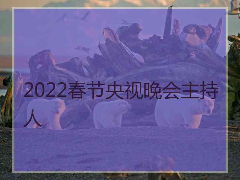 2022春节央视晚会主持人