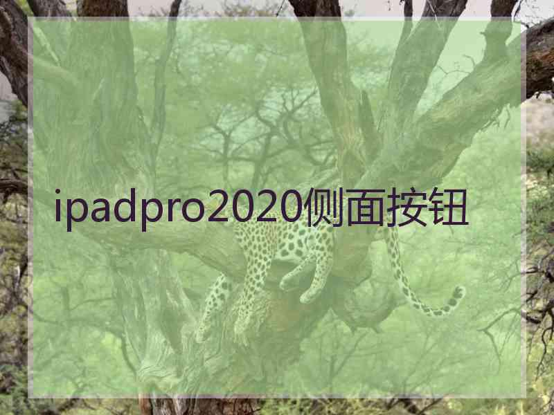 ipadpro2020侧面按钮