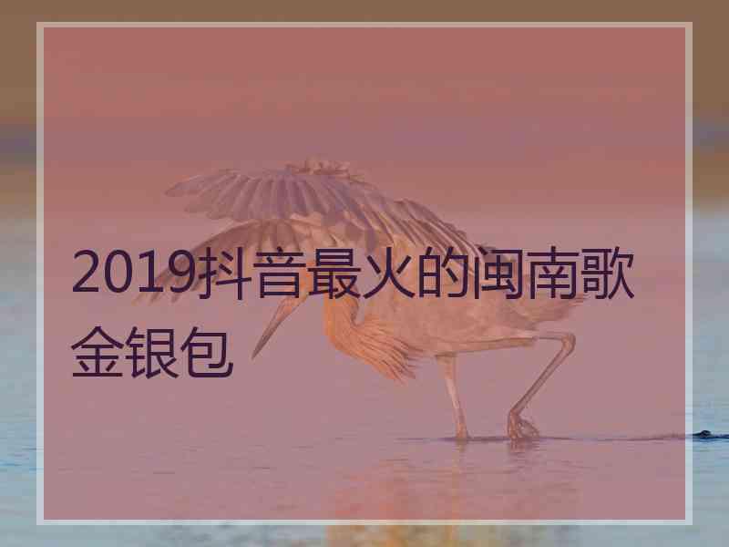 2019抖音最火的闽南歌金银包