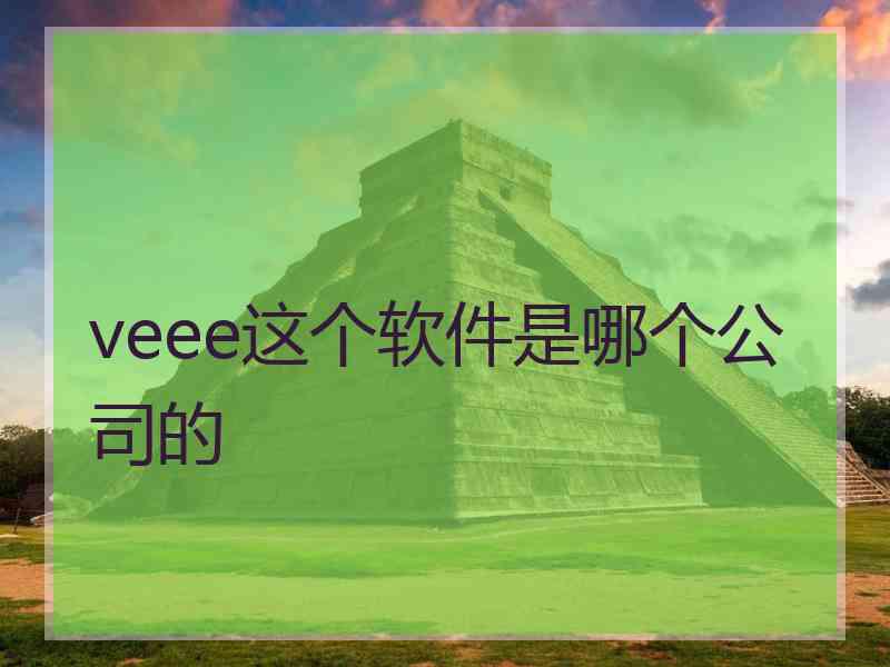 veee这个软件是哪个公司的