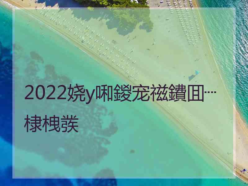 2022娆у啝鍐宠禌鐨囬┈棣栧彂