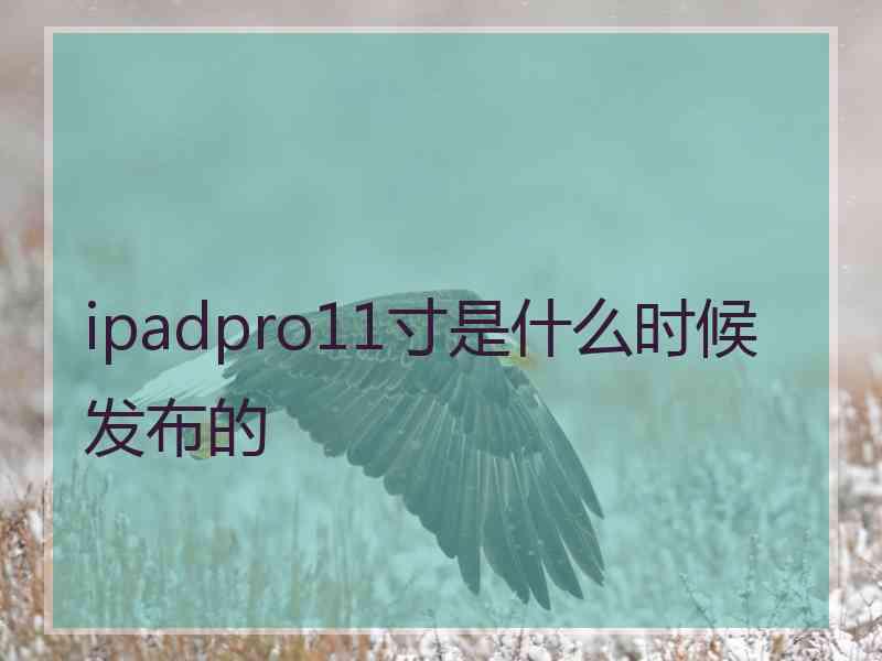 ipadpro11寸是什么时候发布的