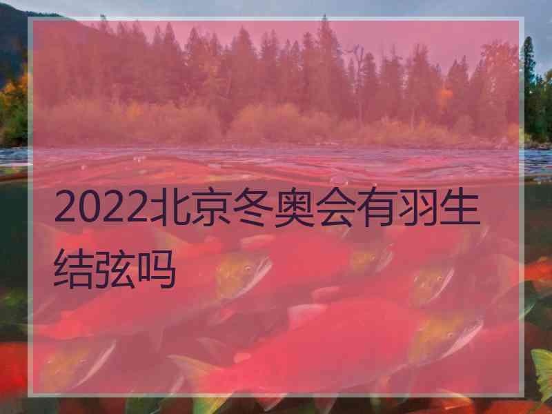 2022北京冬奥会有羽生结弦吗