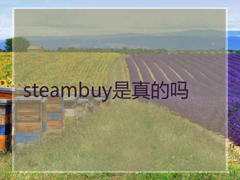 steambuy是真的吗