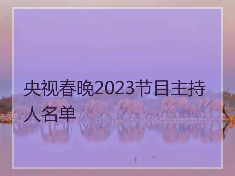 央视春晚2023节目主持人名单