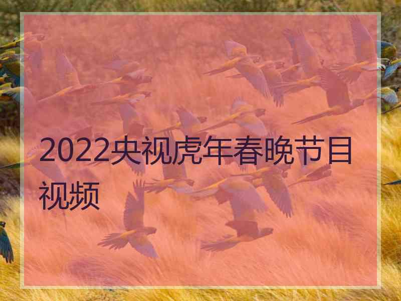 2022央视虎年春晚节目视频