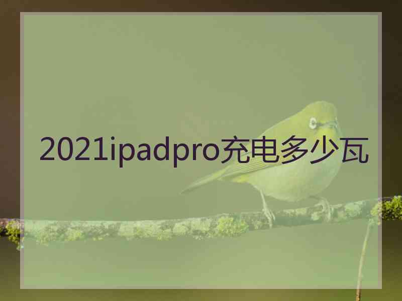 2021ipadpro充电多少瓦