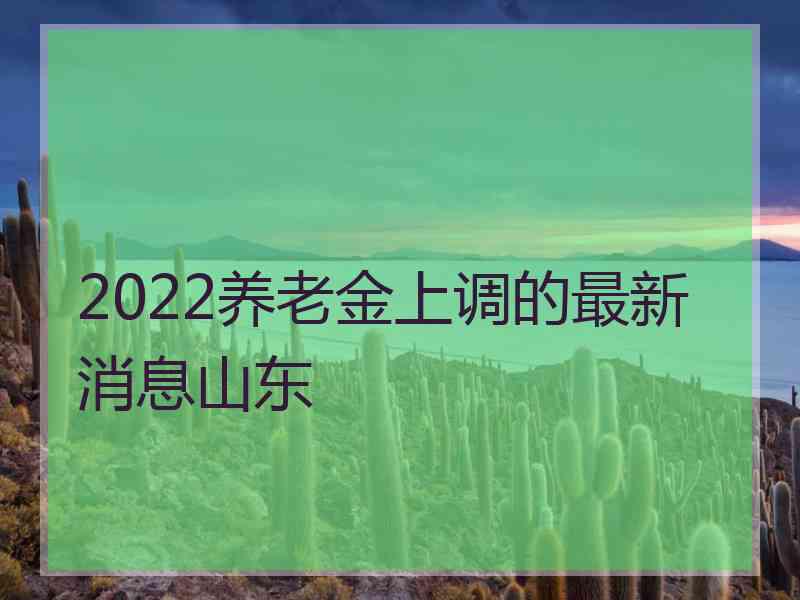 2022养老金上调的最新消息山东