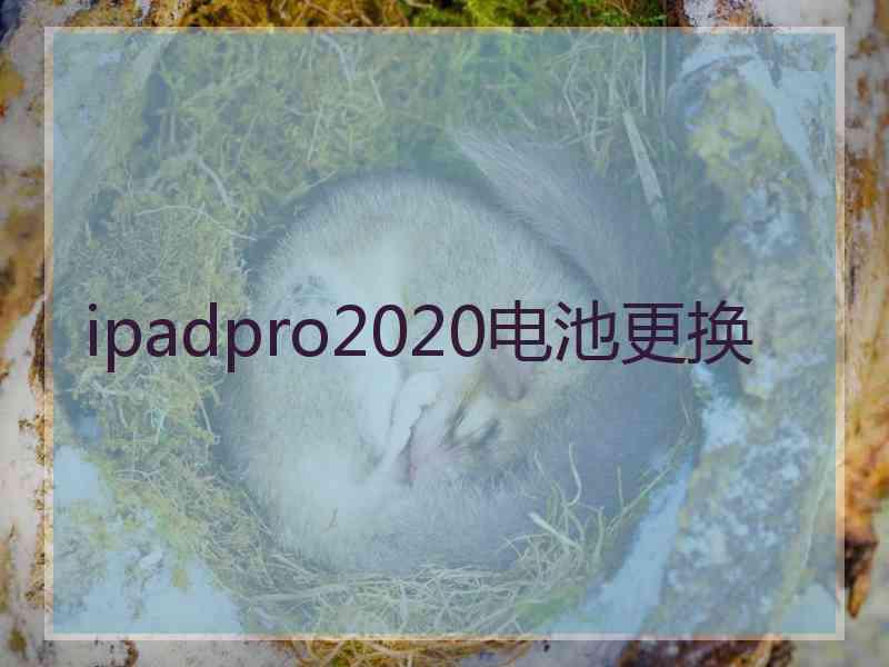 ipadpro2020电池更换