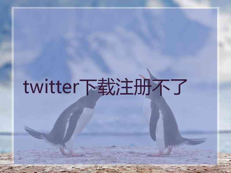 twitter下载注册不了