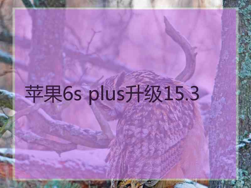 苹果6s plus升级15.3