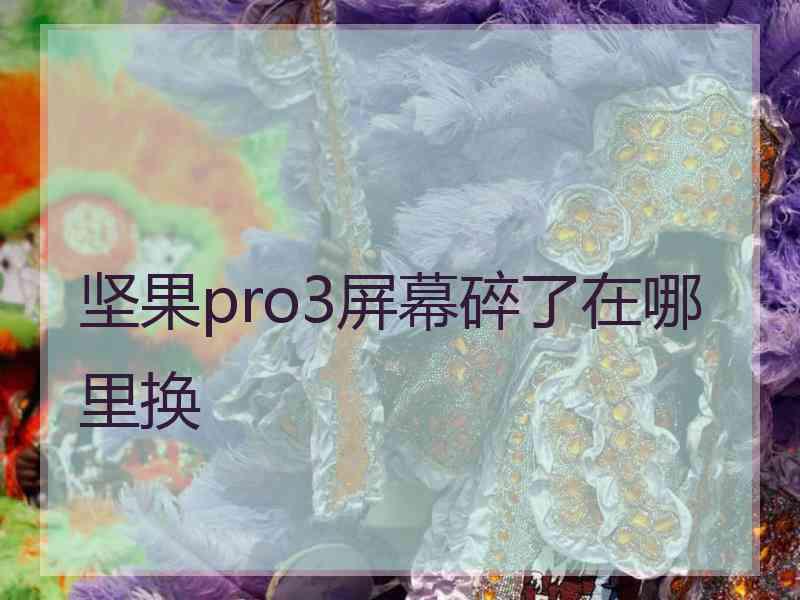 坚果pro3屏幕碎了在哪里换