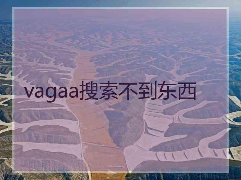 vagaa搜索不到东西